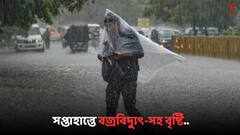 Weather Update: সপ্তাহান্তে বজ্রবিদ্যুৎ-সহ বৃষ্টির পূর্বাভাস, আগামীকাল কেমন আবহাওয়া দক্ষিণবঙ্গে ?