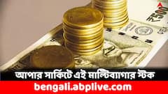 ত্রৈমাসিকের ফল বেরোতেই হু হু করে বাড়ল এই মাল্টিব্যাগার শেয়ারের দাম, কেনা থাকলে কত মুনাফা হবে ?