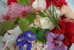 Shani Dev: શનિ દેવને શનિવારે આ પુષ્પ અચૂક ચઢાવો, દરેક સમસ્યાનું મળી જશે નિવારણ