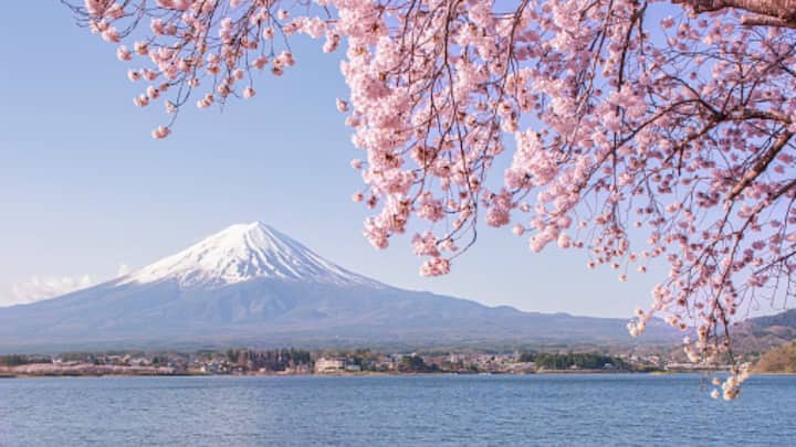 Japan begins issuing eVisas for Indian tourists A Guide how to apply Japan Rolls Out eVisa System For Indian Tourists, Here's How You Can Apply