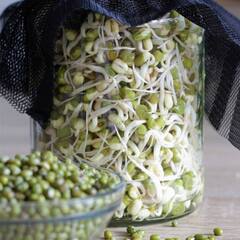 Moong Dal : ਇੱਕ ਮੁੱਠੀ ਇਸ ਦਾਲ ਦੇ ਨਾਲ ਕਰੋ ਦਿਨ ਦੀ ਸ਼ੁਰੂਆਤ, ਸਰੀਰ ਨੂੰ ਮਿਲਣਗੇ ਜਬਰਦਸਤ ਫਾਇਦੇ