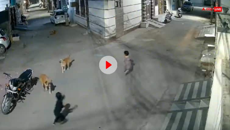Street dogs attacks children walking on road scary video surfaced watch आवारा कुत्तों से सावधान! सड़क पर बच्चों को अकेला छोड़ने से पहले देख लें ये खौफनाक Video