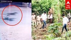 Mayiladuthurai Siruthai CCTV | சீறி பாய்ந்த சிறுத்தை.. மயிலாடுதுறையில் அதிர்ச்சி! பீதியில் மக்கள்!