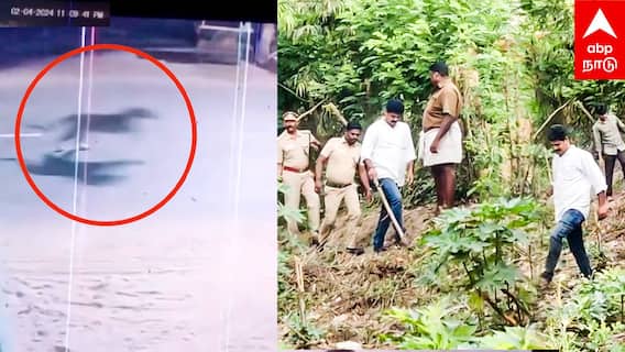 Mayiladuthurai Siruthai CCTV | சீறி பாய்ந்த சிறுத்தை.. மயிலாடுதுறையில் அதிர்ச்சி! பீதியில் மக்கள்!