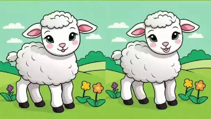 सोशल मीडिया पर यह तस्वीर तेजी से वायरल हो रही है.