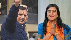 SC Gets Bansuri Swaraj's Name Deleted From Sanjay Singh's Bail Order