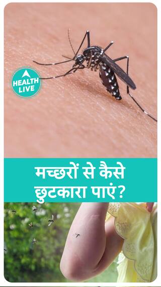 ऐसे पाएं मच्छरों से छूटकारा | Health Live