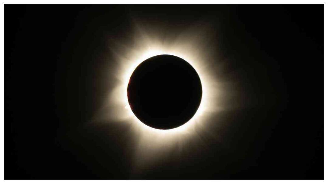 Effect of solar eclipse on human bird animal insects Solar Eclipse 2024: సూర్యగ్రహణం రోజు పసుపక్షాదులు ఎందుకలా ప్రవర్తిస్తాయి? భూమిపై ఎలాంటి ప్రభావం ఉంటుంది?