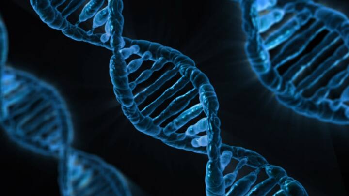 खर्च की बात करें तो प्राइवेट लैब से DNA टेस्ट कराने में 6 हजार से लेकर 2 लाख रुपये तक का खर्च हो सकता है.