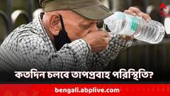 WB Weather Update: আপনার জেলায় কতদিন তাপপ্রবাহের সতর্কতা? কবে রাজ্যে বৃষ্টি?