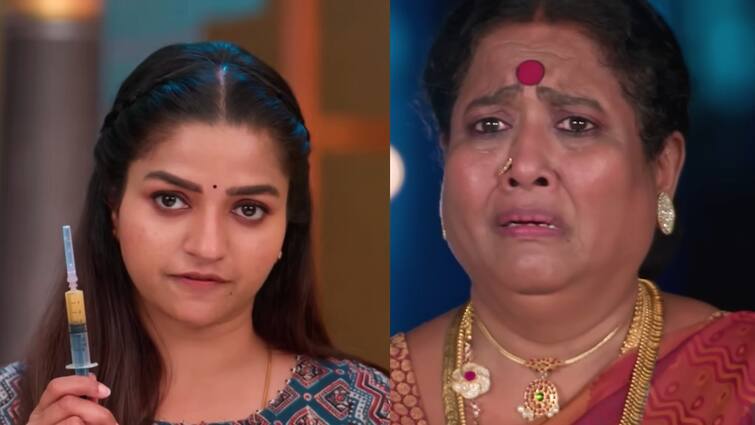 anna serial today april 4th written update zee tamil Anna Serial: பாண்டியம்மாவை பயத்துடன் ஓடவிட்ட பரணி.. சந்தோஷத்தில் குடும்பம் - அண்ணா சீரியல் அப்டேட்! 