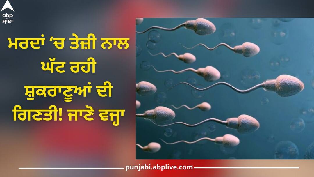 Human Sperm Count on Decline: Rapidly decreasing sperm count, shocking revelation in study Human Sperm Count on Decline: ਪੁਰਸ਼ਾਂ 'ਚ ਤੇਜ਼ੀ ਨਾਲ ਘੱਟ ਰਹੀ ਸ਼ੁਕਰਾਣੂਆਂ ਦੀ ਗਿਣਤੀ, ਅਧਿਐਨ 'ਚ ਹੈਰਾਨ ਕਰਨ ਵਾਲਾ ਖੁਲਾਸਾ