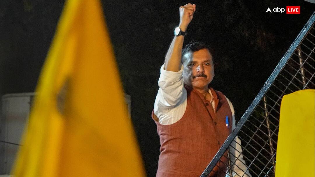 Sanjay Singh Bail: ED को ललकार कर गए थे जेल, लोकसभा चुनाव से पहले बेल, AAP के लिए कौन सी संजीवनी लाए केजरीवाल के संजय Sanjay Singh Bail Meaning For AAP As Party Suffering from Delhi Excise Policy Case ED Top Leadership In Jail Sanjay Singh Bail: ED को ललकार कर गए थे जेल, लोकसभा चुनाव से पहले बेल, AAP के लिए कौन सी संजीवनी लाए केजरीवाल के संजय