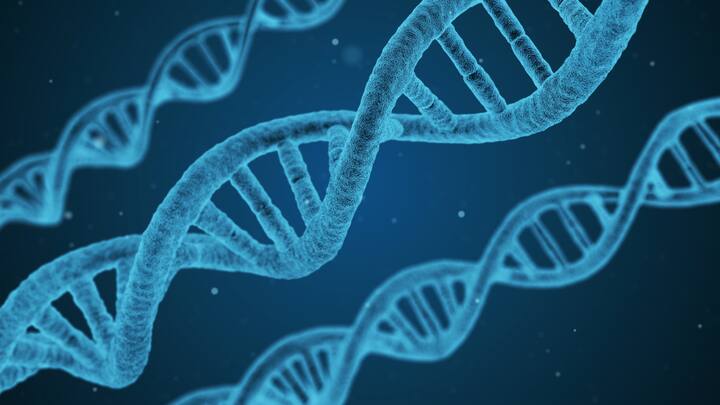 ऐसे तो DNA टेस्ट आप प्राइवेट से लेकर सरकारी दोनों लैब में करा सकते हैं. लेकिन, सरकारी लैब में DNA टेस्ट कराने की परमिशन सरकार, प्रशासन और पुलिस की अनुमति के बाद ही करा सकते हैं.
