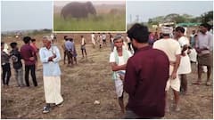 కుమ్రం భీం ఆసిఫాబాద్ జిల్లాలో రెచ్చిపోయిన ఏనుగులు- గంటల వ్యవధిలోనే ఇద్దరు రైతుల మృతి