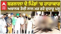 Barnala News | ਬਰਨਾਲਾ ਦੇ ਪਿੰਡਾਂ 'ਚ ਹਾਹਾਕਾਰ - ਅਚਾਨਕ ਤੇਜ਼ੀ ਨਾਲ ਮਰ ਰਹੇ ਦੁਧਾਰੂ ਪਸ਼ੂ