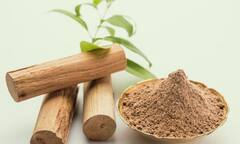 चंदनाची शेती करा, एका एकरात 30 कोटी मिळवा; नेमकं कसं कराल नियोजन?