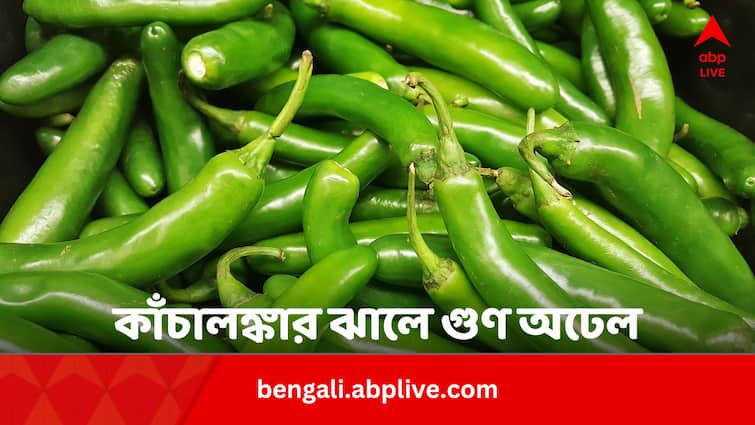 Green Chili Health Benefits In Summer For Hair And Skin Bengali Green Chili Benefits: গরমে দেহ রাখে ঠান্ডা, ত্বক ও চুলের উপকার, কেন খাবেন কাঁচালঙ্কা ?