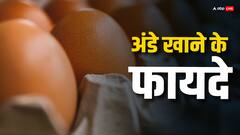Health Tips: शरीर में दिखे ये लक्षण तो एक या 2 नहीं बल्कि इतने अंडे रोज खाएं, जानिए क्यों?