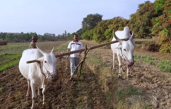 જો ખેડૂતનું મૃત્યુ થાય છે તો આ યોજના હેઠળ તેની પત્નીને દર મહિને 1500 રૂપિયાની આર્થિક સહાય મળે છે.