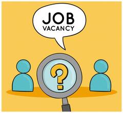 Jobs 2024: झारखंड से लेकर पंजाब और पश्चिम बंगाल तक, यहां चल रही है 41 हजार से ज्यादा पदों पर भर्ती, फौरन करें अप्लाई
