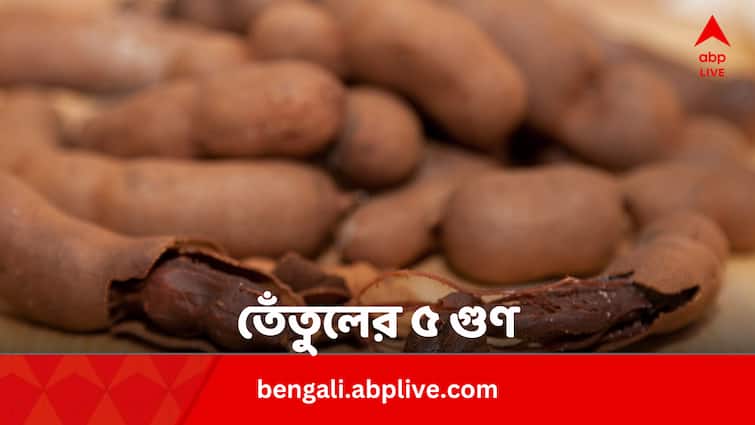 Tamarind Benefits For Stomach Ulcer And Anemia Know More In Bengali Tamarind Benefits: পেটের আলসার সারায়, রক্তাল্পতার যম, তেঁতুলের টকে আরও ৫ গুণ