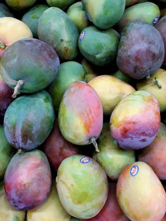 ये है दुनिया का सबसे महंगा आम