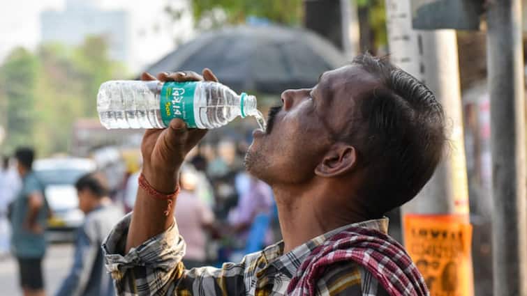 IMD Weather Update Odisha Likely To Suffer Heatwave Till April 6 Rain To Lash North-East IMD Forecast: Heatwave Warnings In Southern States, Rain Alerts In North-Eastern Regions