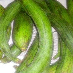 Health News: ਇਹ ਵਾਲੀ ਹਰੀ ਸਬਜ਼ੀ ਖਾਣ ਨਾਲ ਮਿਲਦਾ ਕਈ ਬਿਮਾਰੀਆਂ ਤੋਂ ਛੁਟਕਾਰਾ