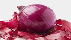 Onion peels Health Benefits: ડુંગળી જ નહી ડુંગળીની છાલ પણ છે ગુણકારી, આ રીતે કરો સેવન, થશે અદભૂત ફાયદા