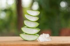 Aloe Vera Benefits: एलोवेरा जेल के फायदे कर देंगे आपको हैरान, स्किन के लिए है रामबाण