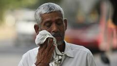 गर्मी का कहर! इस राज्य ने घर से निकलने की भी फिकस कर दी टाइमिंग, तपिश से बचना है तो देख लें