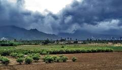 कुठं ढगाळ तर कुठं पावसाची शक्यता, गुढीपाडव्यापर्यंत कसं असेल महाराष्ट्रातील हवामान? 