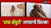 The Goat Life Box Office: नहीं थम रहा 'आडु जीवितम: द गोट लाइफ' का दबदबा, 50 करोड़ क्लब में शामिल होने के इतने करीब पहुंची फिल्म