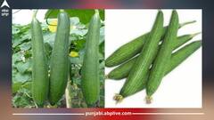 Health News: ਇਹ ਵਾਲੀ ਹਰੀ ਸਬਜ਼ੀ ਖਾਣ ਨਾਲ ਮਿਲਦਾ ਕਈ ਬਿਮਾਰੀਆਂ ਤੋਂ ਛੁਟਕਾਰਾ