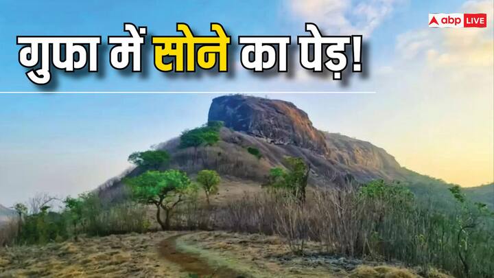 Bhaskargad Fort Mystery: भारत के अलग-अलग राज्यों में ऐसी कई जगहें हैं, जो रहस्यों से भरी हुई हैं. ऐसी ही एक जगह महाराष्ट्र के नासिक जिले में स्थित भास्करगढ़ किला है.