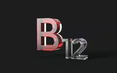 Vitamin: આ વિટામીનની ઉણપથી શરીરમાં ઓછુ થઇ જાય છે લોહી, વધી જશે અનેક સમસ્યાઓ