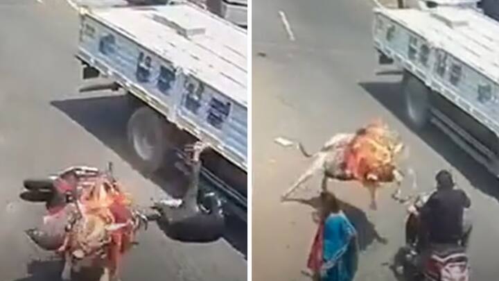 Ox Suddenly Runs Into Bike On Busy Road Resulting In Major Accident Near Bengaluru Watch Video: சாலையில் சென்ற இருசக்கர வாகன ஓட்டியை முட்டிய எருது.. சிசிடிவி வீடியோ வைரல்!