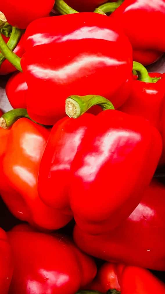 ਲਾਲ ਸ਼ਿਮਲਾ ਮਿਰਚ ਖਾਣ ਨਾਲ ਸਰੀਰ 'ਚ ਹੁੰਦੇ ਕਿਹੜੇ ਫਾਇਦੇ?