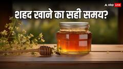 रात में शहद खाना सही होता है या सुबह? जानें क्या है इसके फायदे