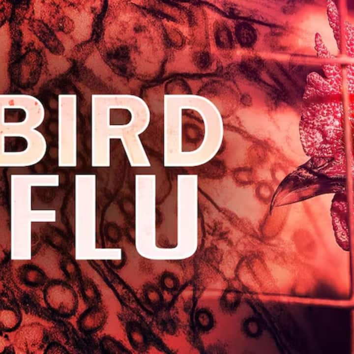 Bird Flu : ਏਵੀਅਨ ਫਲੂ ਜਾਂ ਬਰਡ ਫਲੂ ਹੁਣ ਚਿੰਤਾ ਦਾ ਵਿਸ਼ਾ ਬਣਦਾ ਜਾ ਰਿਹਾ ਹੈ। ਦਰਅਸਲ, ਹਾਲ ਹੀ ਵਿਚ ਅਮਰੀਕਾ ਵਿਚ ਮਨੁੱਖਾਂ ਵਿਚ ਇਸ ਦੇ ਦੂਜੇ ਮਾਮਲੇ ਦੀ ਪੁਸ਼ਟੀ ਹੋਈ ਹੈ, ਜਿਸ ਨੇ ਸਿਹਤ ਮਾਹਰਾਂ ਦੀ ਚਿੰਤਾ ਵਧਾ ਦਿੱਤੀ ਹੈ।