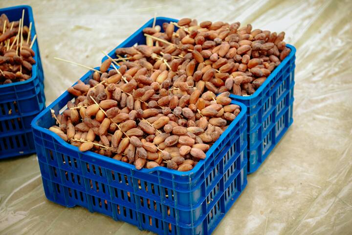 रमजान के महीने में अजवा खजूर की मांग काफी बढ़ जाती है. बाजार में इस तरह के एक किलो खजूर की कीमत लगभग 1500 रुपए के आसपास होती है.