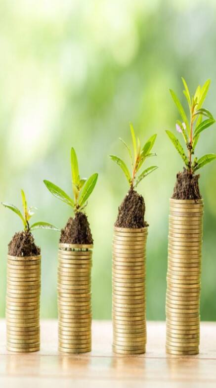 મ્યુચ્યુઅલ ફંડમાં રોકાણ કરતા સમયે ના કરો આ ભૂલ