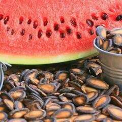 Watermelon Seeds : ਇਸ ਫਲ ਦੇ ਬੀਜ ਵੀ ਹਨ ਗੁਣਾਂ ਦੀ ਗੁਥਲੀ, ਅੱਜ ਹੀ ਡਾਈਟ 'ਚ ਕਰੋ ਸ਼ਾਮਲ