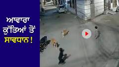 Dog Attack Video: ਆਵਾਰਾ ਕੁੱਤਿਆਂ ਤੋਂ ਸਾਵਧਾਨ! ਬੱਚਿਆਂ ਨੂੰ ਸੜਕ 'ਤੇ ਇਕੱਲੇ ਛੱਡਣ ਤੋਂ ਪਹਿਲਾਂ ਵੇਖ ਲਓ ਇਹ ਰੂਹ ਕੰਬਾਊ VIDEO