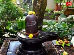 Shivling Puja Niyam: शिवलिंग की पूजा क्या घर पर कर सकते हैं, क्या है सही नियम? जानें