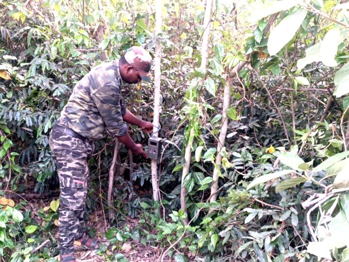 Mayiladuthurai Leopard: ஓடவும் முடியாது, ஒளியவும் முடியாது - சிறுத்தையை பிடிக்க வனத்துறை எடுத்த முடிவு