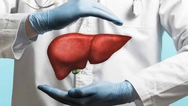 World Liver Day 2024: these 5 foods in diet to detox liver World Liver Day 2024: લિવરમાં જમા થયેલી ગંદકીને સાફ કરવા ખાવ આ પાંચ વસ્તુઓ