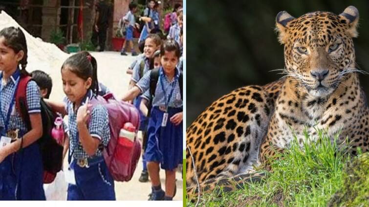 mayiladuthurai district 9 schools announced as holiday due the cheetah roaming School Leave: மயிலாடுதுறை மாவட்டத்தில் 9 பள்ளிகளுக்கு விடுமுறை..!