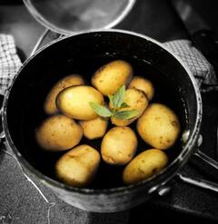 Navratri Special: नहीं है कुछ भी बनाने शक्ति, तो इस रेसिपी से झटपट तैयार कर लें व्रत वाले आलू